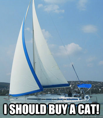  I should buy a cat! -  I should buy a cat!  Misc