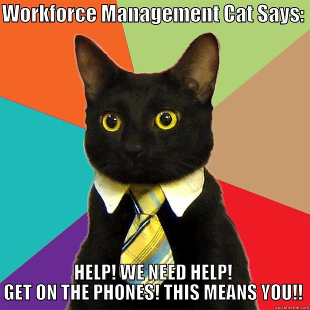 we need help - WORKFORCE MANAGEMENT CAT SAYS:  HELP! WE NEED HELP! GET ON THE PHONES! THIS MEANS YOU!! Business Cat