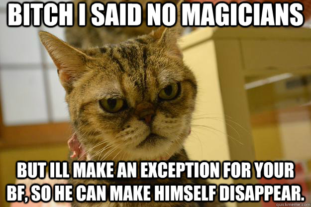 bitch i said no magicians but ill make an exception for your bf, so he can make himself disappear.  Angry Cat