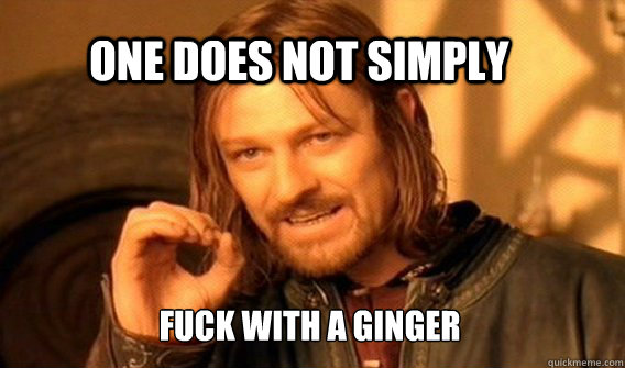One Does Not Simply Fuck With A Ginger Simply Sean Bean Quickmeme