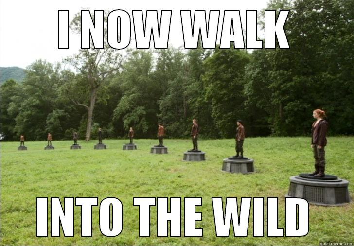 lol 0 - I NOW WALK INTO THE WILD Misc