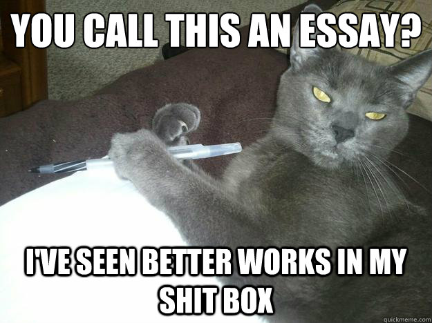 You call this an essay?
 i've seen better works in my shit box - You call this an essay?
 i've seen better works in my shit box  Condescending Cat Author