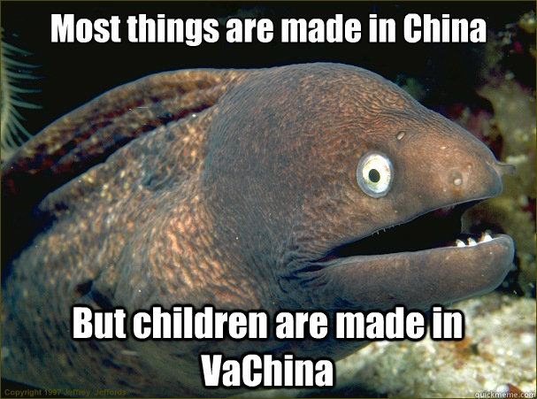 Most things are made in China But children are made in VaChina  Bad Joke Eel