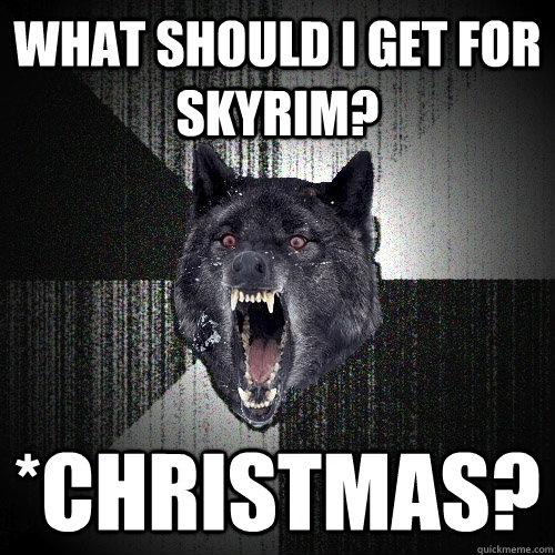 what should i get for skyrim? *christmas?  Insanity Wolf