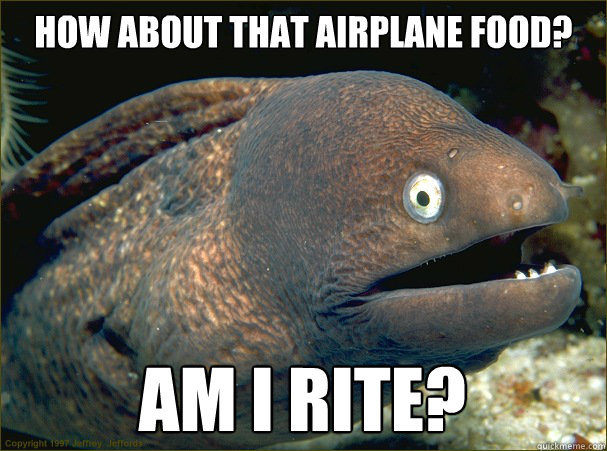 HOW ABOUT THAT AIRPLANE FOOD? am i rite? - HOW ABOUT THAT AIRPLANE FOOD? am i rite?  Bad Joke Eel