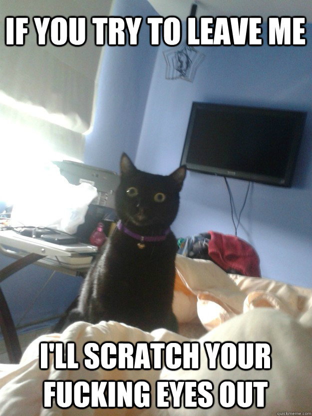 if you try to leave me i'll scratch your fucking eyes out  overly attached cat