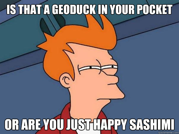 IS THAT A GEODUCK IN YOUR POCKET OR ARE YOU JUST HAPPY SASHIMI - IS THAT A GEODUCK IN YOUR POCKET OR ARE YOU JUST HAPPY SASHIMI  Futurama Fry