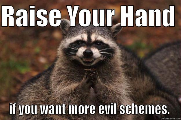 RAISE YOUR HAND  IF YOU WANT MORE EVIL SCHEMES. Evil Plotting Raccoon