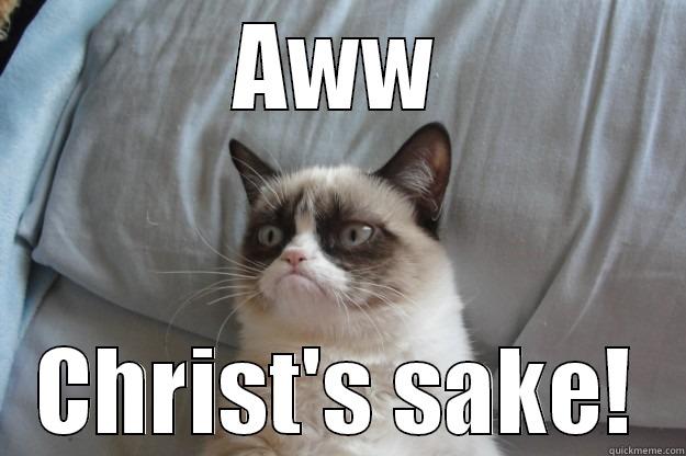 AWW CHRIST'S SAKE! Grumpy Cat