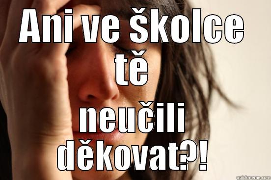 ANI VE ŠKOLCE TĚ NEUČILI DĚKOVAT?! First World Problems