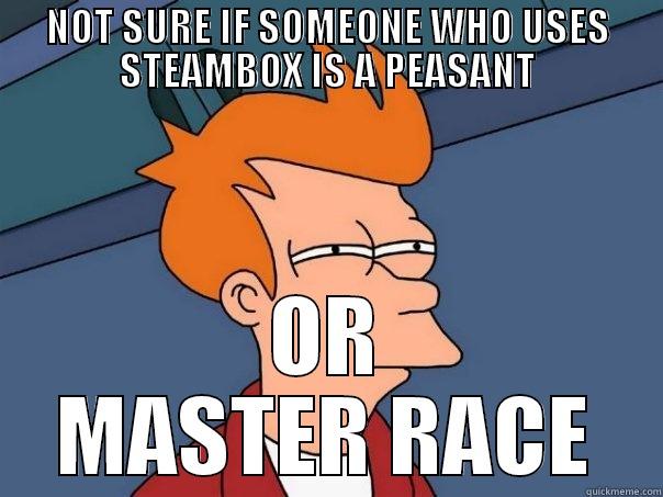 NOT SURE IF SOMEONE WHO USES STEAMBOX IS A PEASANT OR MASTER RACE Futurama Fry