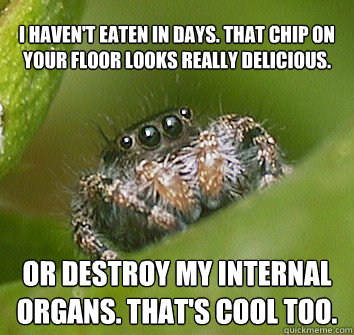 I haven't eaten in days. That chip on your floor looks really delicious. Or destroy my internal organs. that's cool too. - I haven't eaten in days. That chip on your floor looks really delicious. Or destroy my internal organs. that's cool too.  Misunderstood Spider