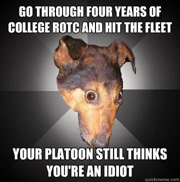 GO THROUGH FOUR YEARS OF COLLEGE ROTC AND HIT THE FLEET YOUR PLATOON STILL THINKS YOU'RE AN IDIOT  Depression Dog