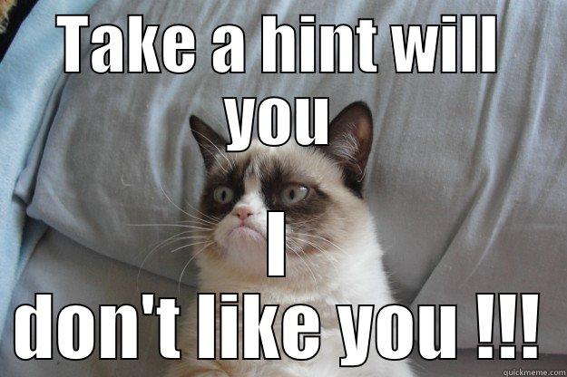 TAKE A HINT WILL YOU I DON'T LIKE YOU !!! Grumpy Cat