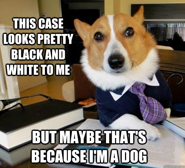 This case looks pretty black and white to me But maybe that's because i'm a dog  Lawyer Dog