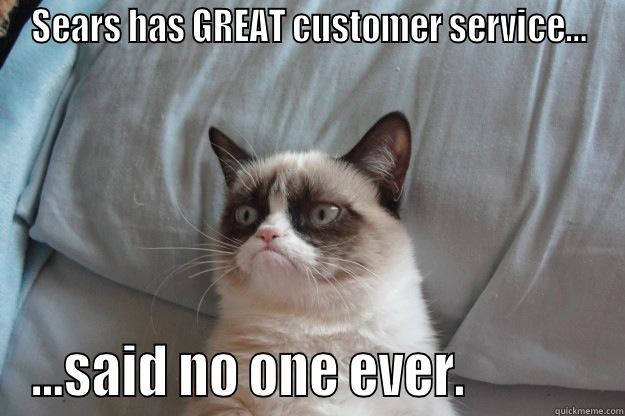 Fix My Fridge! - SEARS HAS GREAT CUSTOMER SERVICE... ...SAID NO ONE EVER.             Grumpy Cat