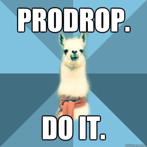 prodrop. Do it.   Linguist Llama