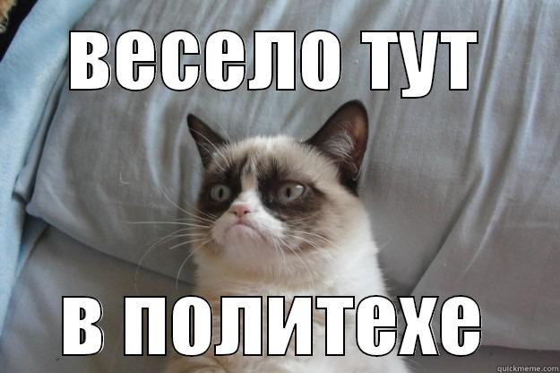 ВЕСЕЛО ТУТ В ПОЛИТЕХЕ Grumpy Cat