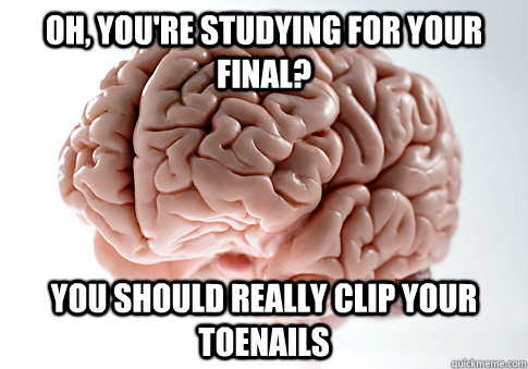 Oh, you're studying for your final? You should really clip your toenails  Scumbag Brain