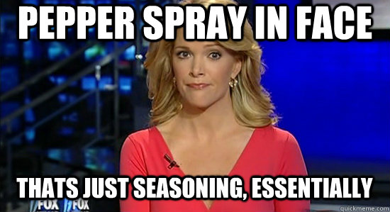 Pepper spray in face Thats just seasoning, essentially   essentially megyn kelly