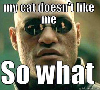 MY CAT DOESN'T LIKE ME  SO WHAT Matrix Morpheus