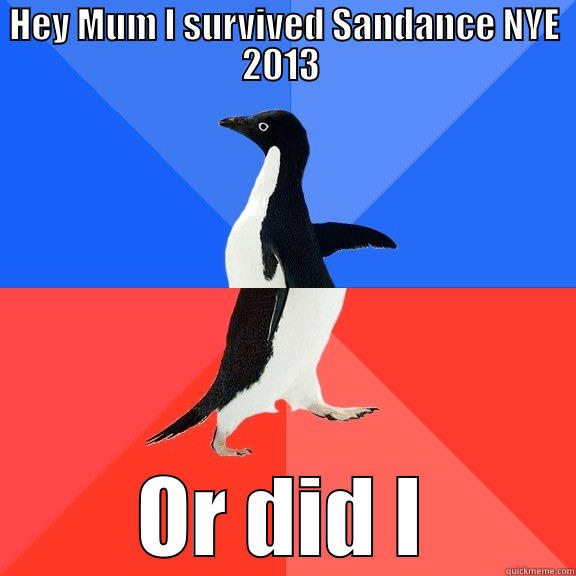 HEY MUM I SURVIVED SANDANCE NYE 2013  OR DID I Socially Awkward Awesome Penguin