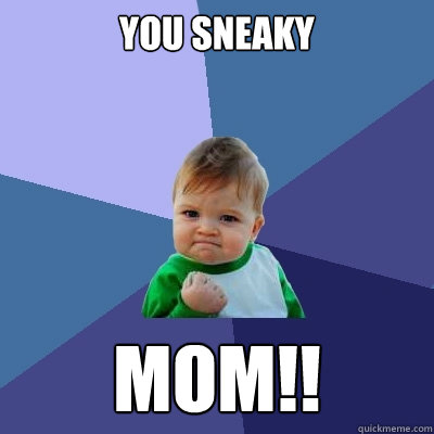 YOU SNEAKY MOM!!  Success Kid