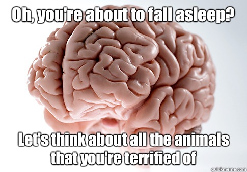 Oh, you're about to fall asleep? Let's think about all the animals that you're terrified of  - Oh, you're about to fall asleep? Let's think about all the animals that you're terrified of   Scumbag Brain