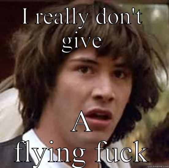 Give a fuck - I REALLY DON'T GIVE A FLYING FUCK conspiracy keanu