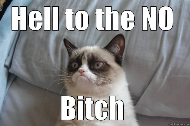 HELL TO THE NO BITCH Grumpy Cat