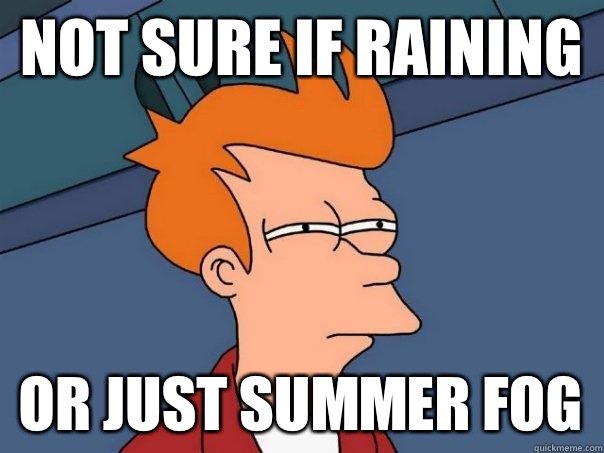 not sure if raining or just summer fog - not sure if raining or just summer fog  Futurama Fry