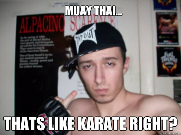 Muay thai... Thats like karate right?  