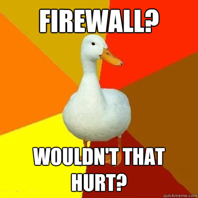 Firewall? Wouldn't that hurt? - Firewall? Wouldn't that hurt?  Tech Impaired Duck