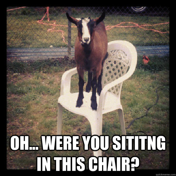  Oh... were you sititng in this chair?    