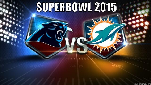                  SUPERBOWL 2015                  Misc