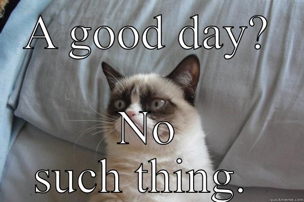 A GOOD DAY? NO SUCH THING.  Grumpy Cat