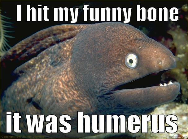     I HIT MY FUNNY BONE     IT WAS HUMERUS  Bad Joke Eel