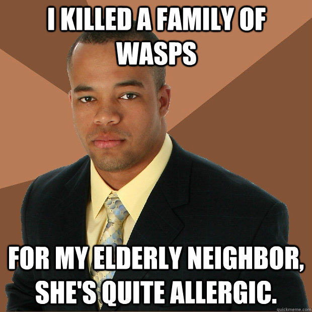 i killed a family of wasps for my elderly neighbor, she's quite allergic.  Successful Black Man