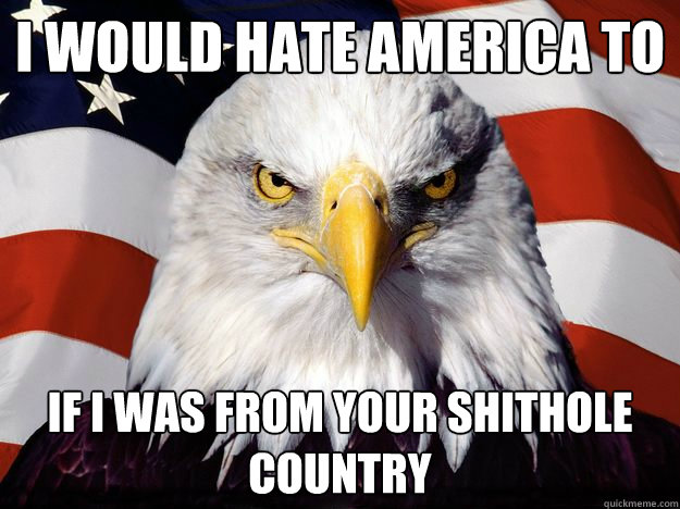 I would hate America to if i was from your shithole country  One-up America