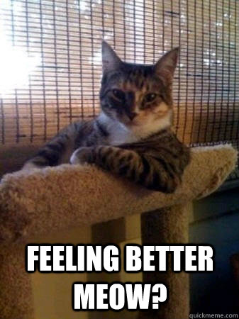  feeling better meow? -  feeling better meow?  The Most Interesting Cat in the World