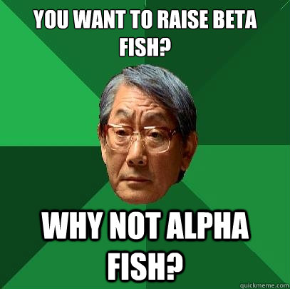 You want to raise Beta Fish? Why not Alpha Fish?  High Expectations Asian Father