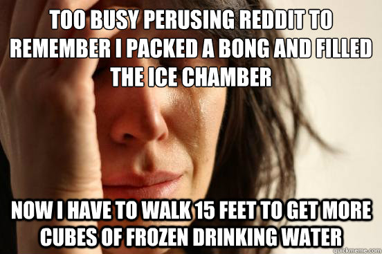 Too busy perusing reddit to remember I packed a bong and filled the ice chamber now i have to walk 15 feet to get more cubes of frozen drinking water - Too busy perusing reddit to remember I packed a bong and filled the ice chamber now i have to walk 15 feet to get more cubes of frozen drinking water  First World Problems