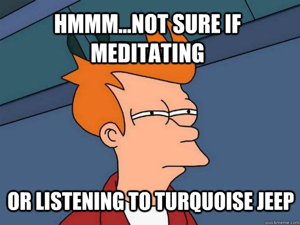 hmmm...not sure if meditating or listening to turquoise jeep - hmmm...not sure if meditating or listening to turquoise jeep  Futurama Fry