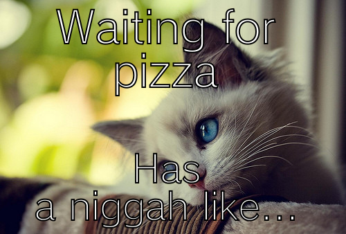 WAITING FOR PIZZA HAS A NIGGAH LIKE... First World Problems Cat