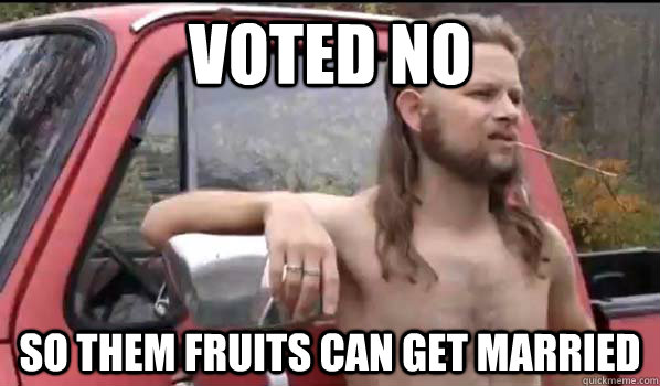 Voted No So them fruits can get married  Almost Politically Correct Redneck