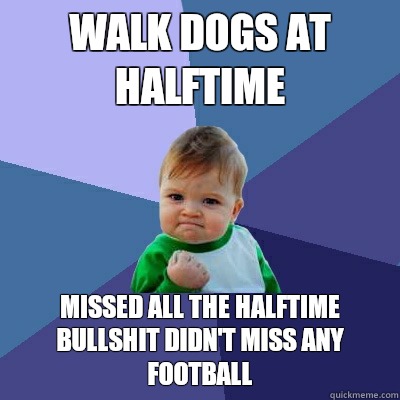 walk dogs at halftime missed all the halftime bullshit didn't miss any football  Success Kid