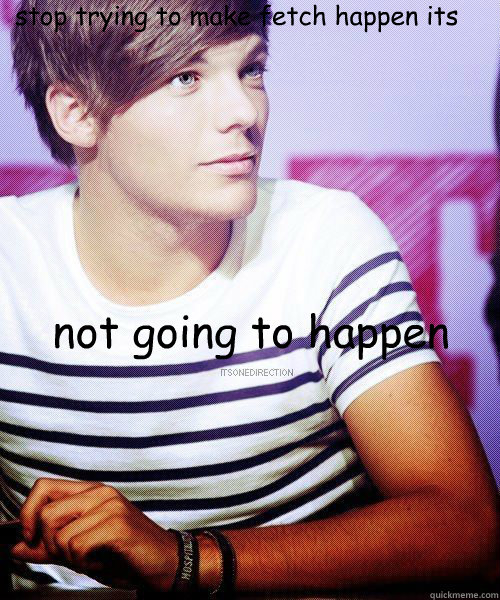 stop trying to make fetch happen its not going to happen - stop trying to make fetch happen its not going to happen  meangirls louis