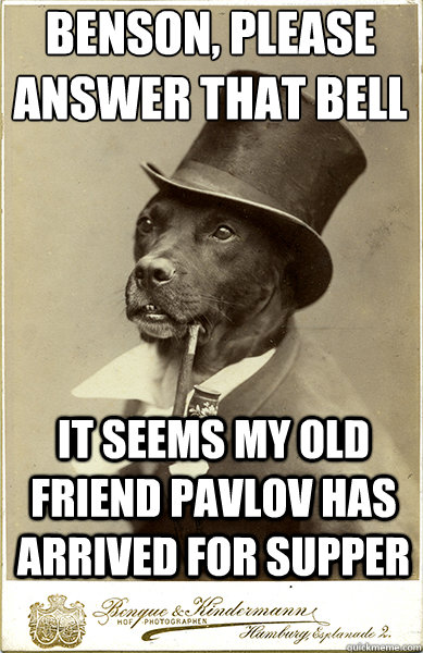 Benson, please answer that bell
 it seems my old friend pavlov has arrived for supper  Old Money Dog