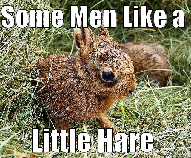 A little hare - SOME MEN LIKE A  LITTLE HARE Misc