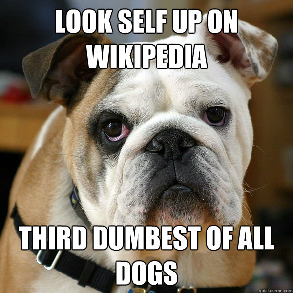 look self up on wikipedia third dumbest of all dogs  